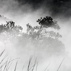 IMG_2396