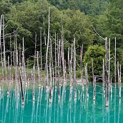 IMG_3866